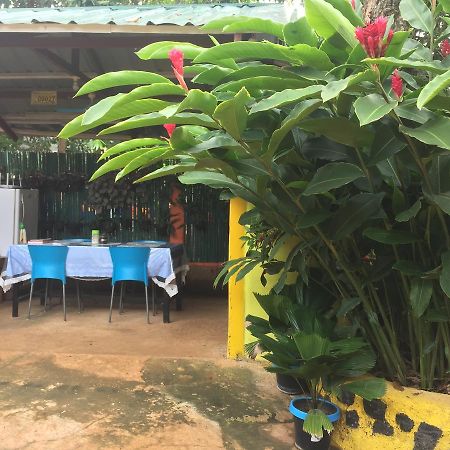 بويرتو برينسيسا Amelia Homestay المظهر الخارجي الصورة